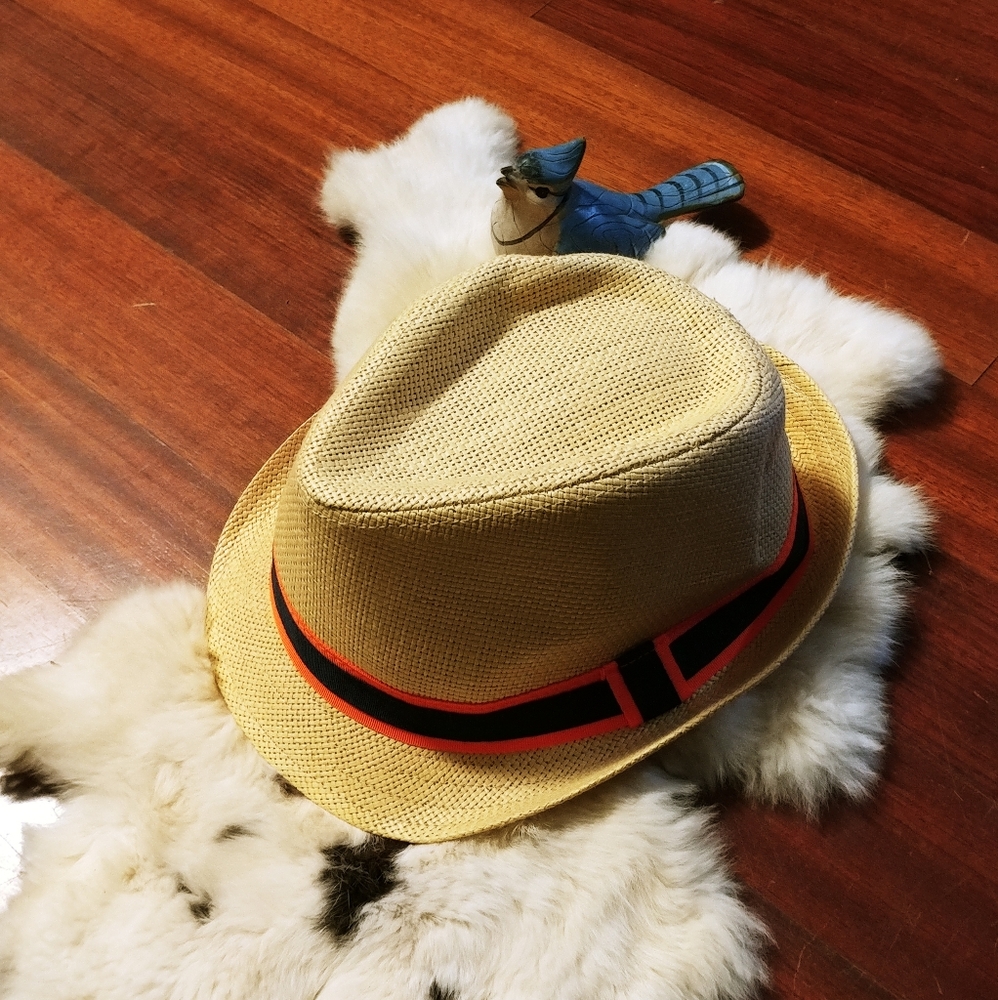 🆕 Paper Straw Fedora